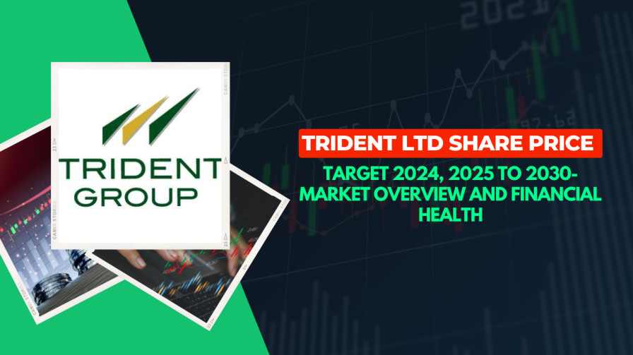 Trident Ltd Share Price Target 2024, 2025 to 2030-Market Overview and Financial Health